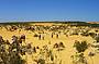 Pinnacles Desert