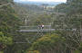 Tree Top Walk