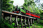 Puffing Billy on Trestle Bridge 1