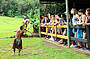Spear throwing show - Rainforestation 