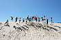 Jumping at the Henty Dunes, exclusive to Jump Tours