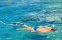 Snorkelling at Fitzroy Island