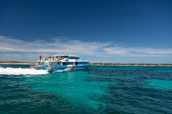 Same Day Return Perth to Rottnest Island