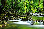 Mossman Gorge